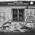 Amalie Dahl Breaking/Building Habits (LP)