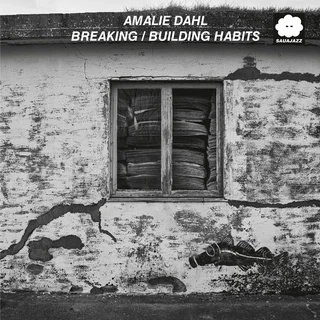 Amalie Dahl Breaking/Building Habits (LP)
