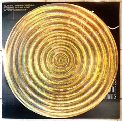 Kjetil Brandsdal &amp; Thore Warland Hypotaedium - LTD (LP)