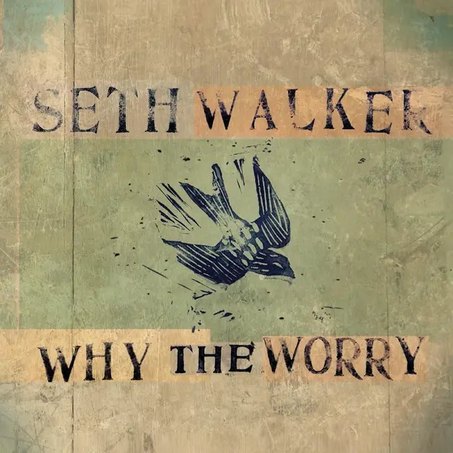 Seth Walker Why The Worry (LP) 