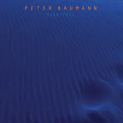 Peter Baumann Nightfall (LP)