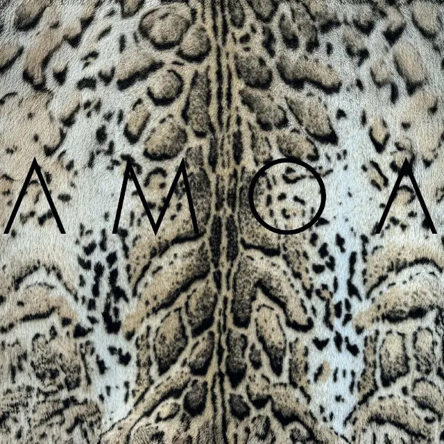 Amoa I'll Be Kind (LP) 
