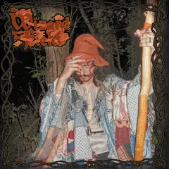 Spife The Wizard In The Field (LP)