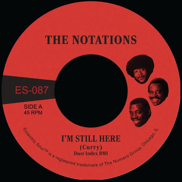 The Notations I'm Still Here/What More Can… - LTD (7") 