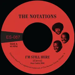 The Notations I'm Still Here/What More Can I Say (7")