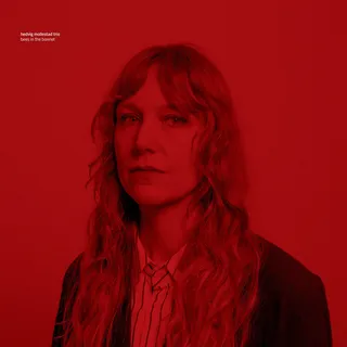 Hedvig Mollestad Trio Bees In The Bonnet (CD)