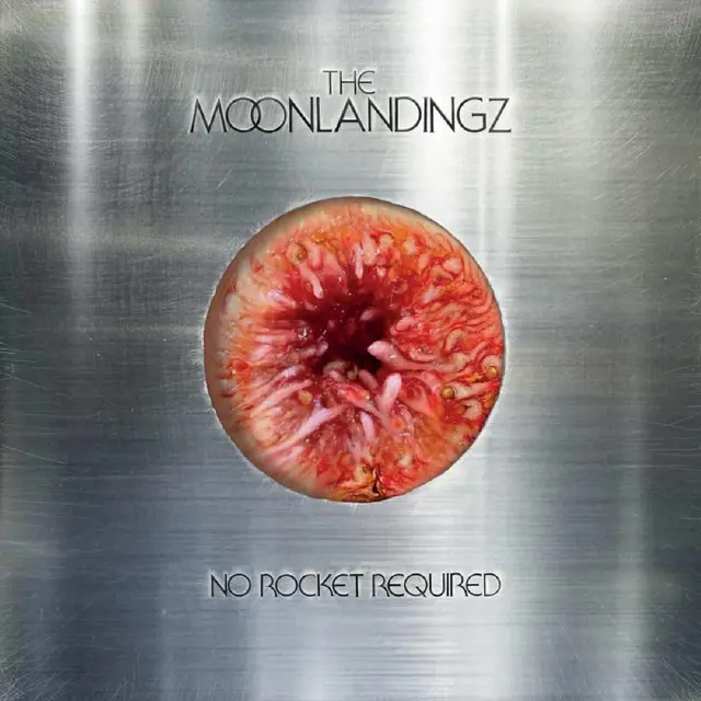 The Moonlandingz No Rocket Required - LTD (LP) 