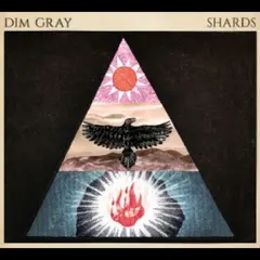 Dim Gray Shards (LP)