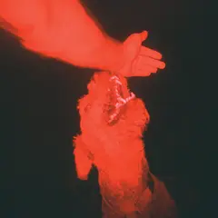 Eli Winter A Trick Of The Light (CD)