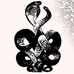 Bardo Pond Volume 4 &amp; 5 (2LP)