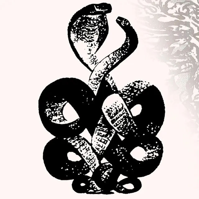 Bardo Pond Volume 4 & 5 (2LP) 