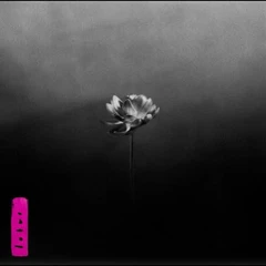 Little Simz Lotus - LTD (2LP)