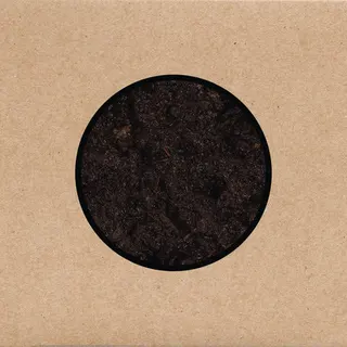 Swans Birthing (3LP+DVD)