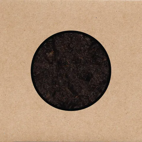 Swans Birthing (3LP+DVD) 