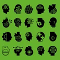 PDQB Wetware Unveiled (12")