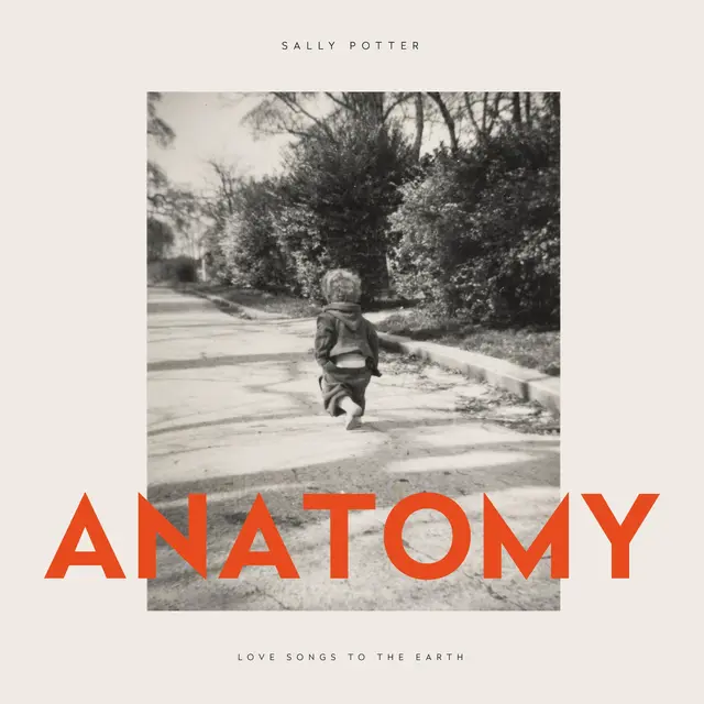 Sally Potter Anatomy (LP) 