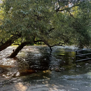 Sondre Lerche Sea Of Sighs - LTD (LP)