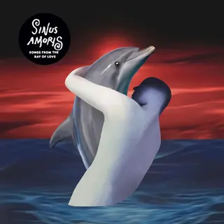 Jimi Tenor &amp; Freestyle Man Sinus Amoris (Songs From The Bay…) (LP)