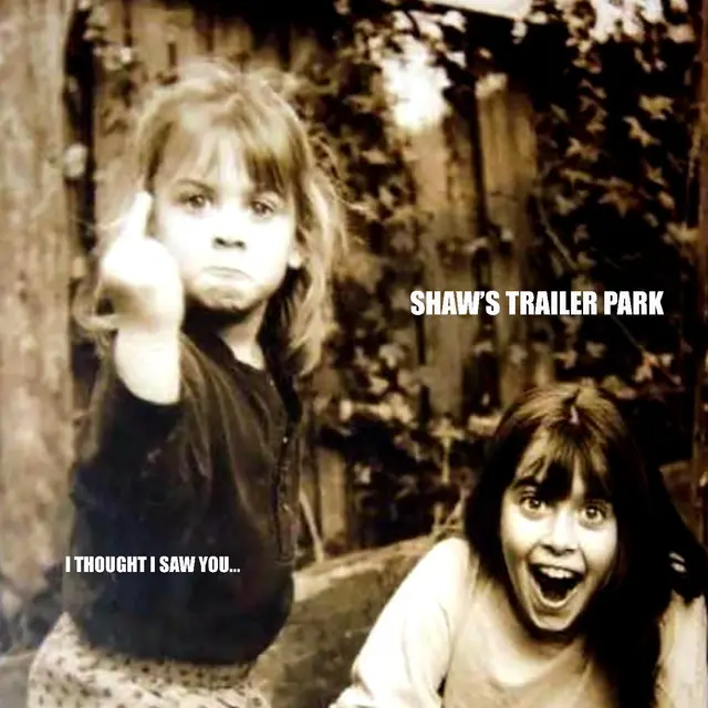 Shaw's Trailer Park I Thought I Saw You… (LP) 