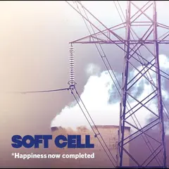 Soft Cell Happiness Now Completed - RSD (LP)