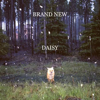 Brand New Daisy (LP)