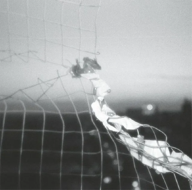 Dmitry Krylov After All (LP) 