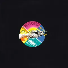 Pink Floyd Wish You Were Here (LP)