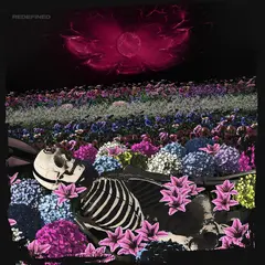 Dead Rabbitts Redefined (LP)
