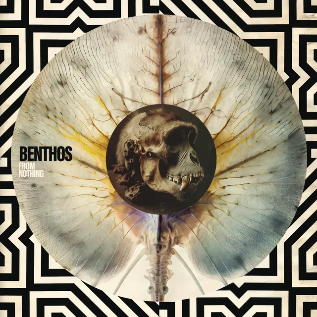 Benthos From Nothing - LTD (LP) 