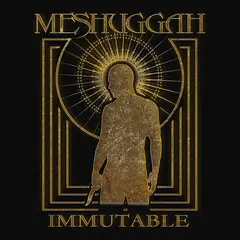 Meshuggah Immutable: The Indelible… - LTD (2LP)