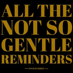 David Ramirez All The Not So Gentle Reminders (LP)