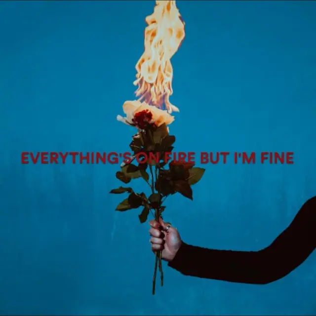 As December Falls Everything's On Fire But I'm… - LTD (LP) 