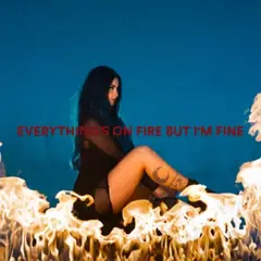 As December Falls Everything's On Fire But I'm… - LTD (LP)