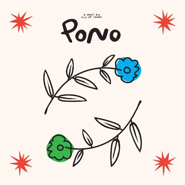 A Great Big Pile Of Leaves Pono - LTD (LP) 