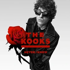 The Kooks Never/Know - LTD (LP)
