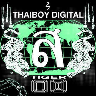 Thaiboy Digital Tiger (LP)