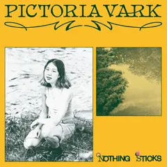Pictoria Vark Nothing Sticks (LP)