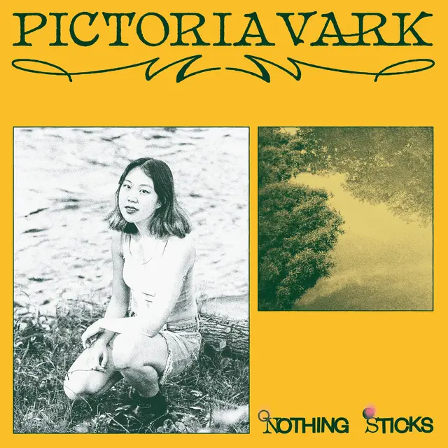 Pictoria Vark Nothing Sticks (LP) 