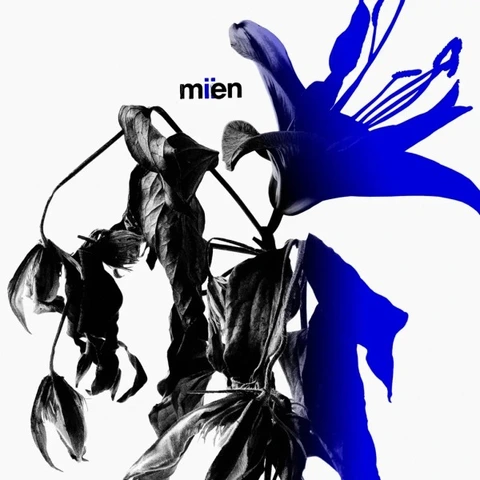 Mien Miien - LTD (LP) 