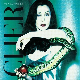 Cher It's A Man's World (2LP)