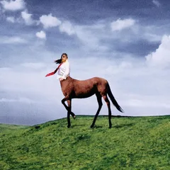 Annie DiRusso Super Pedestrian (LP)