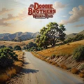 The Doobie Brothers Walk This Road (LP)