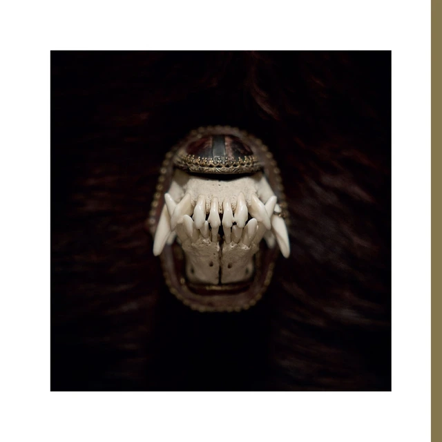 Amenra De Toorn - LTD (LP) 