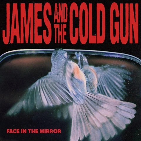 James And The Cold Gun Face In The Mirror - LTD (LP) 