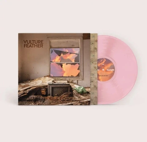 Vulture Feather It Will Be Like Now - LTD (LP) 