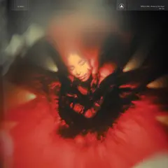 Spellling Portrait Of My Heart (LP)