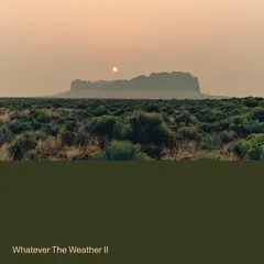 Whatever The Weather Whatever The Weather II - LTD (LP)