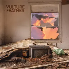 Vulture Feather It Will Be Like Now - LTD (LP)