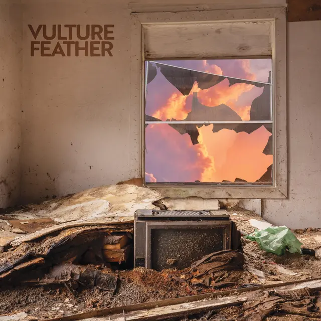 Vulture Feather It Will Be Like Now - LTD (LP) 