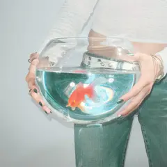 fish narc frog song (LP)